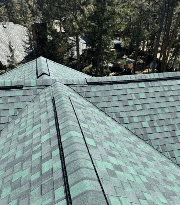 Architectural shingle roof photographed along the ridge, with ridge vent and pines behind